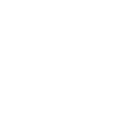 Protection of Workers in Formal & Informal Economies 